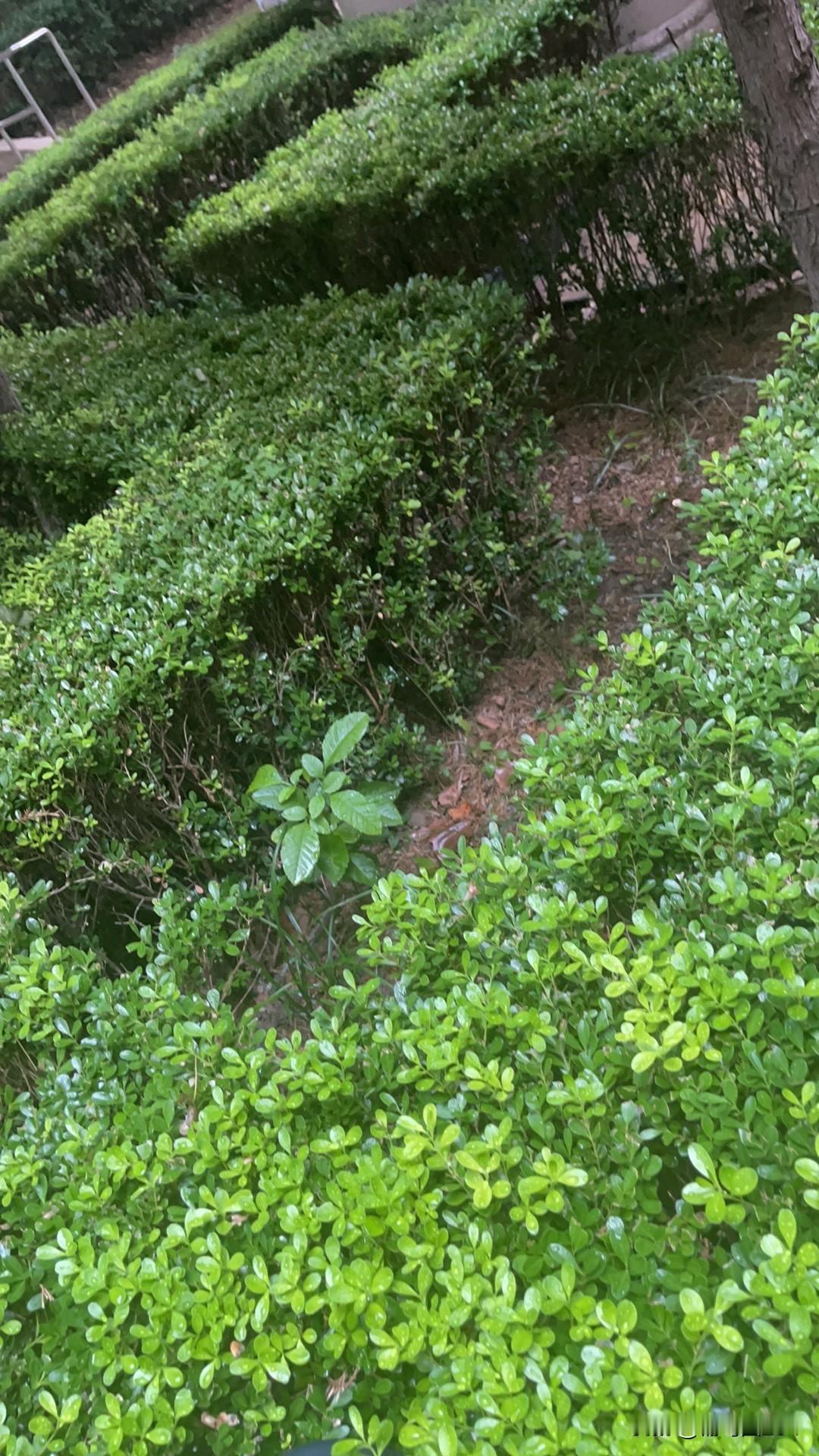 美国为何要在中东不断挑起战争应该是伊朗的事！