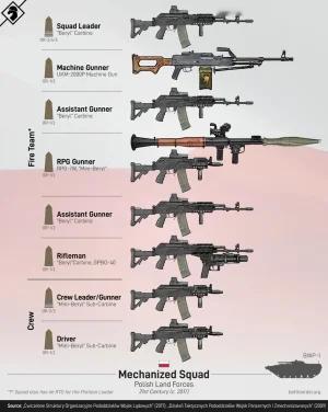 波兰机械化步兵班轻武器