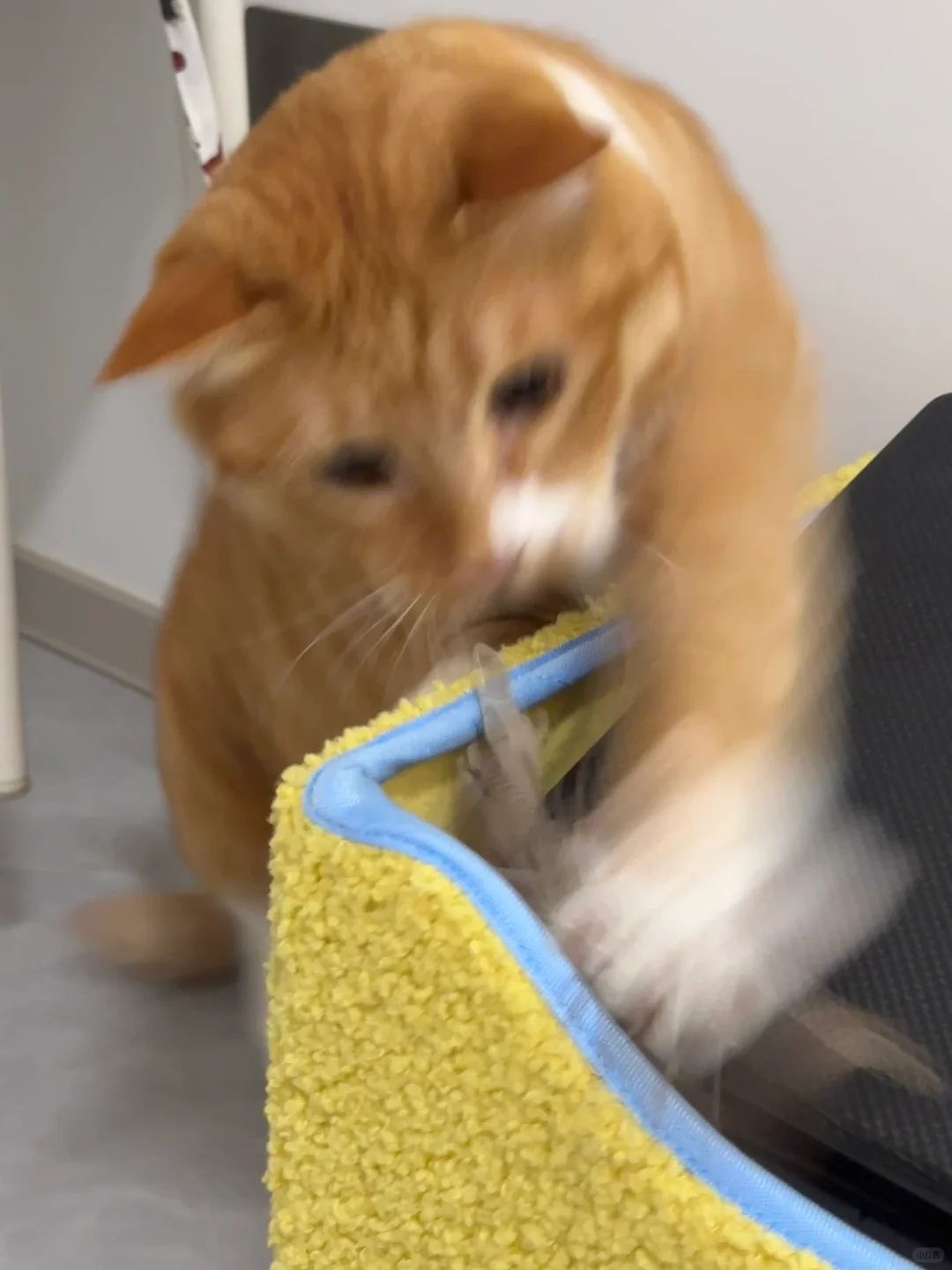 这个嘴看起来有点倔犟