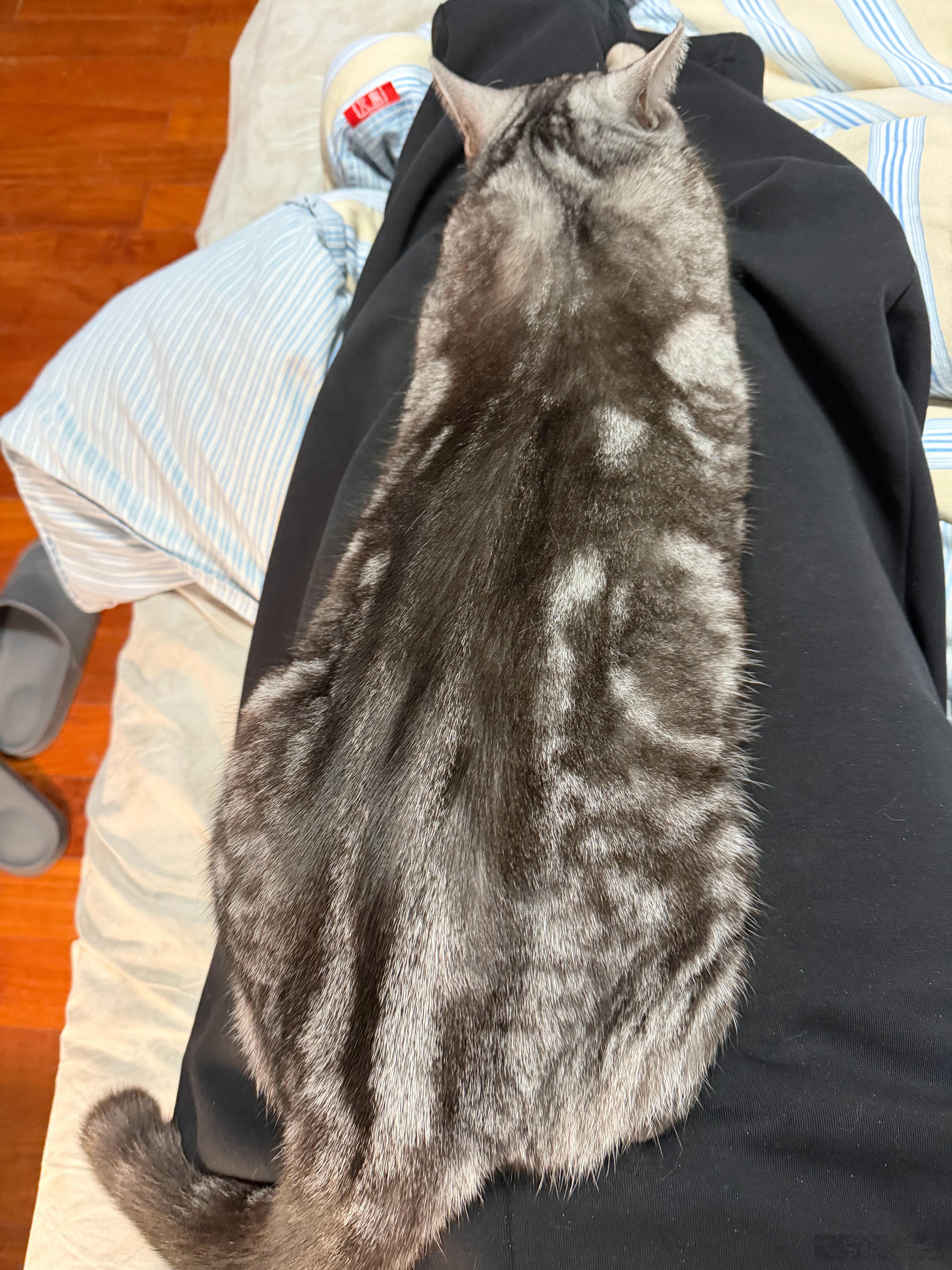 看来要降温了，它的反应一般比天气预报更准。 