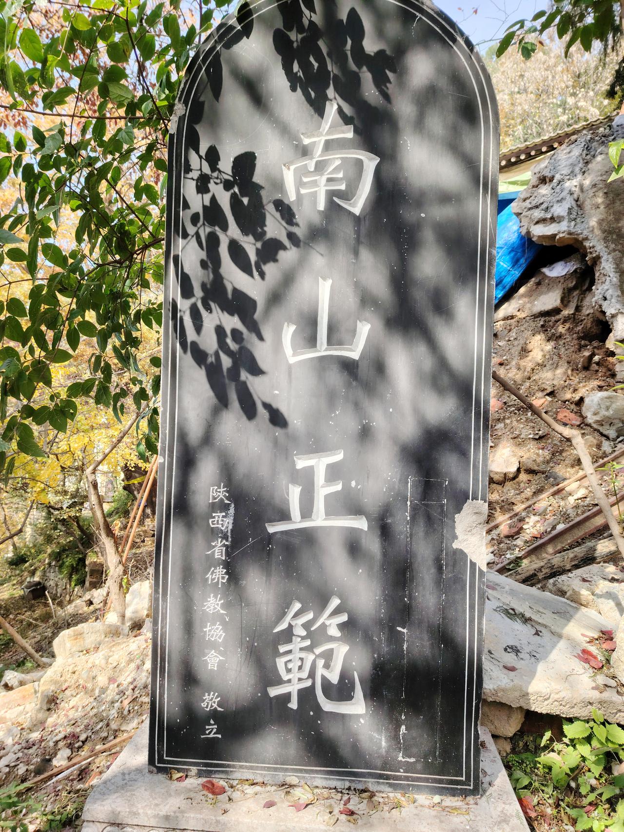 难忘那段无需考试的美好时光。
从小学直至初中，而后升入高中，我都未曾经历过升学考