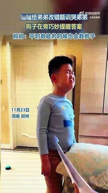 谁见过这么通人性的狗子？男孩数学题错了一大半被妈妈训得眼圈发红，旁边的狗子居然凑