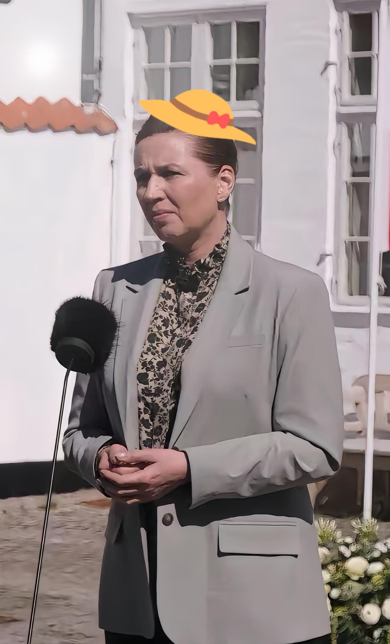 终于回过味了.把其中的逻辑捋清楚了。

丹麦首相近期就部分涉华议题发表公开言论，