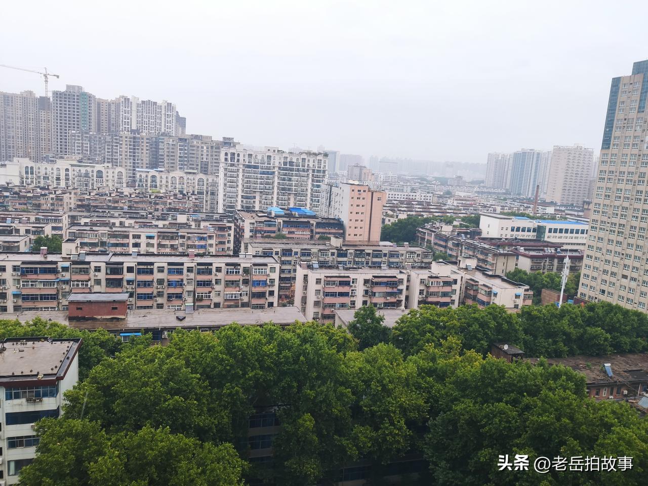 这次天气预报挺准的，从昨晚凌晨四点开始，这雨一直在下，窗外像刮风似的，一片莎莎声