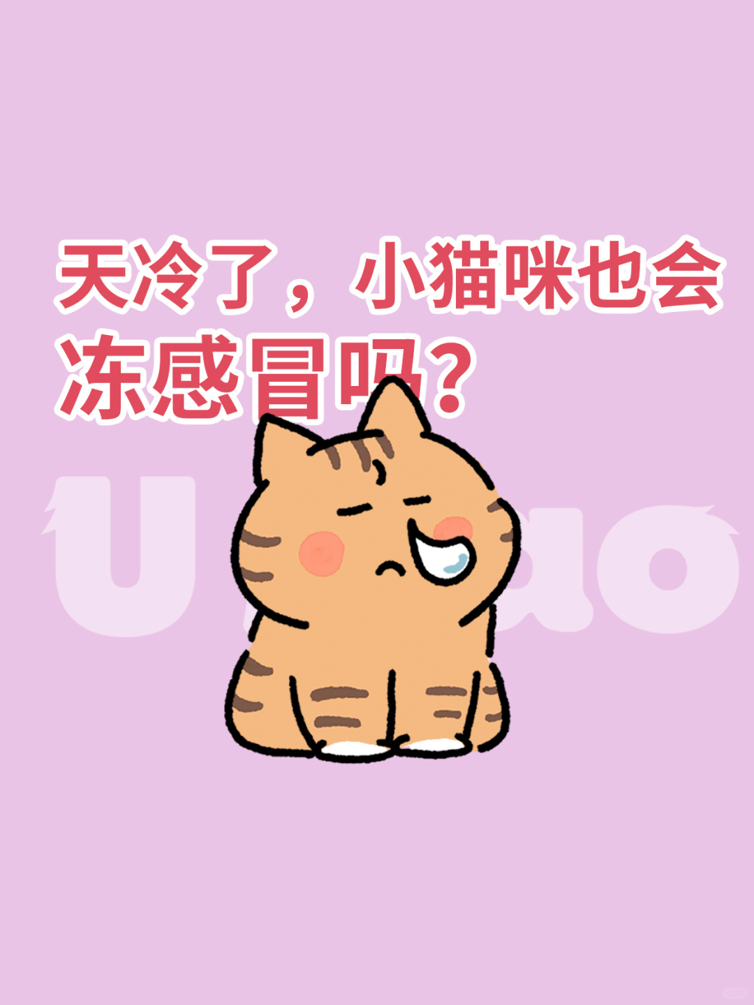 天冷了，小猫咪也会冻感冒吗？