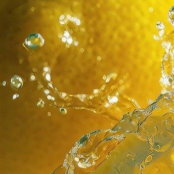 种植 1500柠檬如何种植：🍋🍋🍋1、适合柠檬生长的温度在23至29度。?