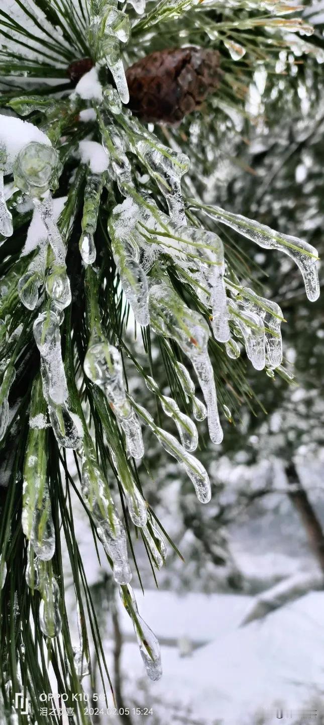 #我有一上联：叶舞秋风起，求下联#雪飘冬霜降