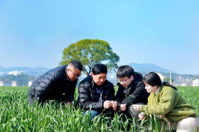 台州银发专家走进田间地头助力春耕 近日，台州天台，南屏乡退休老干部志愿服务队，深