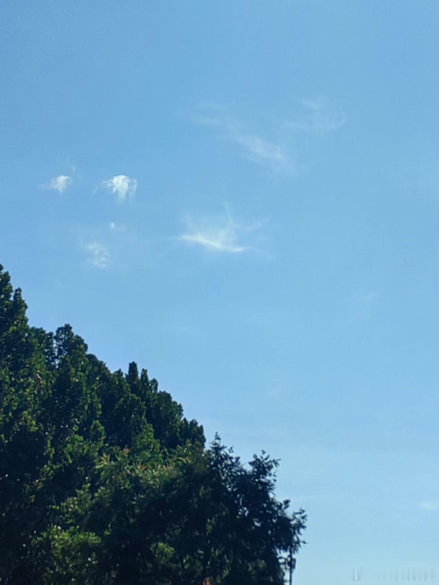 北京真的到了秋天。 