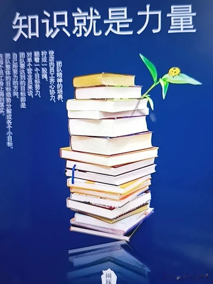 人生中，我越来越相信“知识就是力量”。以前觉得这句话挺老套，没太在意。但随着经历