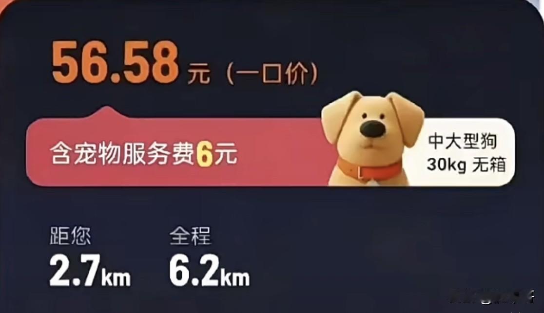 如果可以让我选择，我从今天起只拉狗，不拉人。这绝对不是气话，也不是想埋汰人。而是