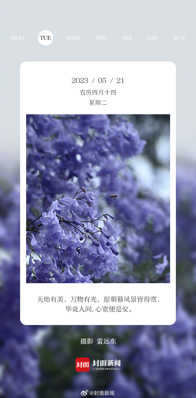 #小封日历# 早安，周二啦！今天叫醒你的是_____？[发芽] ​​​