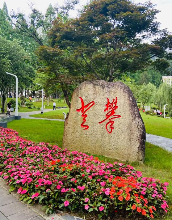 四个月婴儿命丧检查站，罗生门背后是人道悲剧
亲爱的朋友们大家好，我是海林小百科，