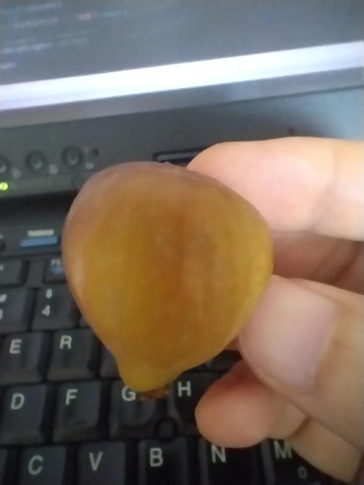 阳台里栽种的一颗无花果成熟了，没想到味道很甜[可爱] 一口咬开果糖跟蜜一样水汪汪