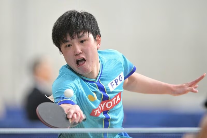 张本智和张本智和2026全日本乒乓球锦标赛新闻报道 20260124【乒乓球】张