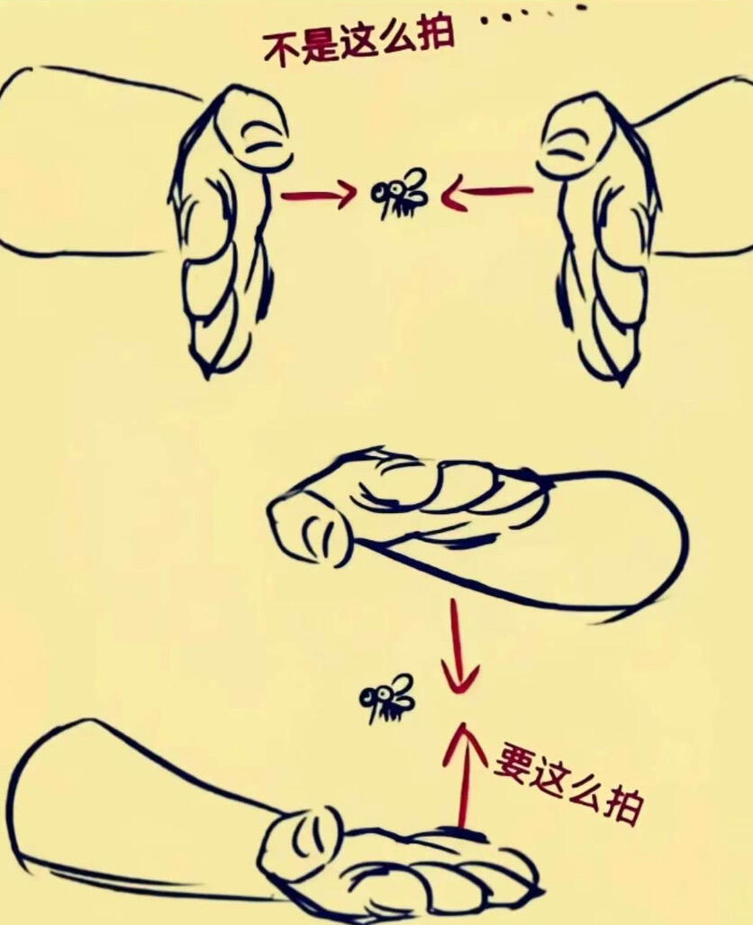 打蚊子正确姿势。蚊子对横向气流格外敏感，上下夹击才是实用技巧。怪不得总打不到蚊子