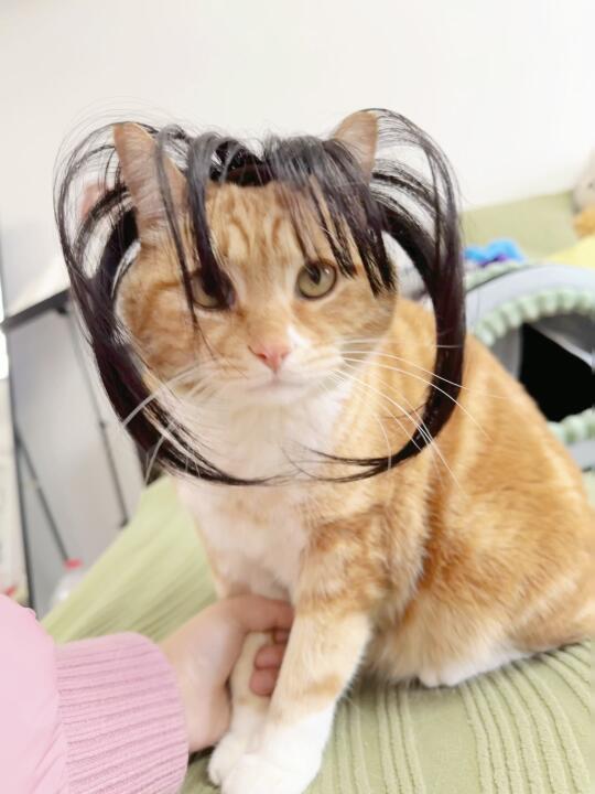 刘海减龄