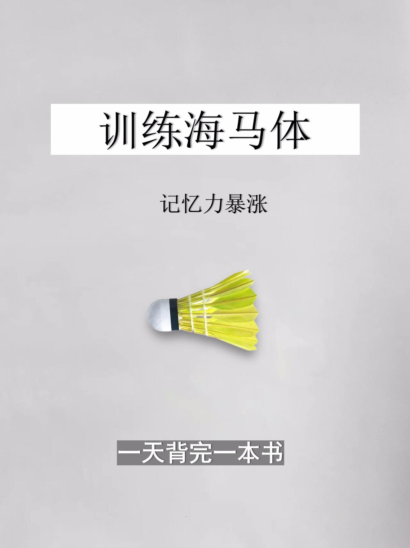 学习方法-训练海马体。