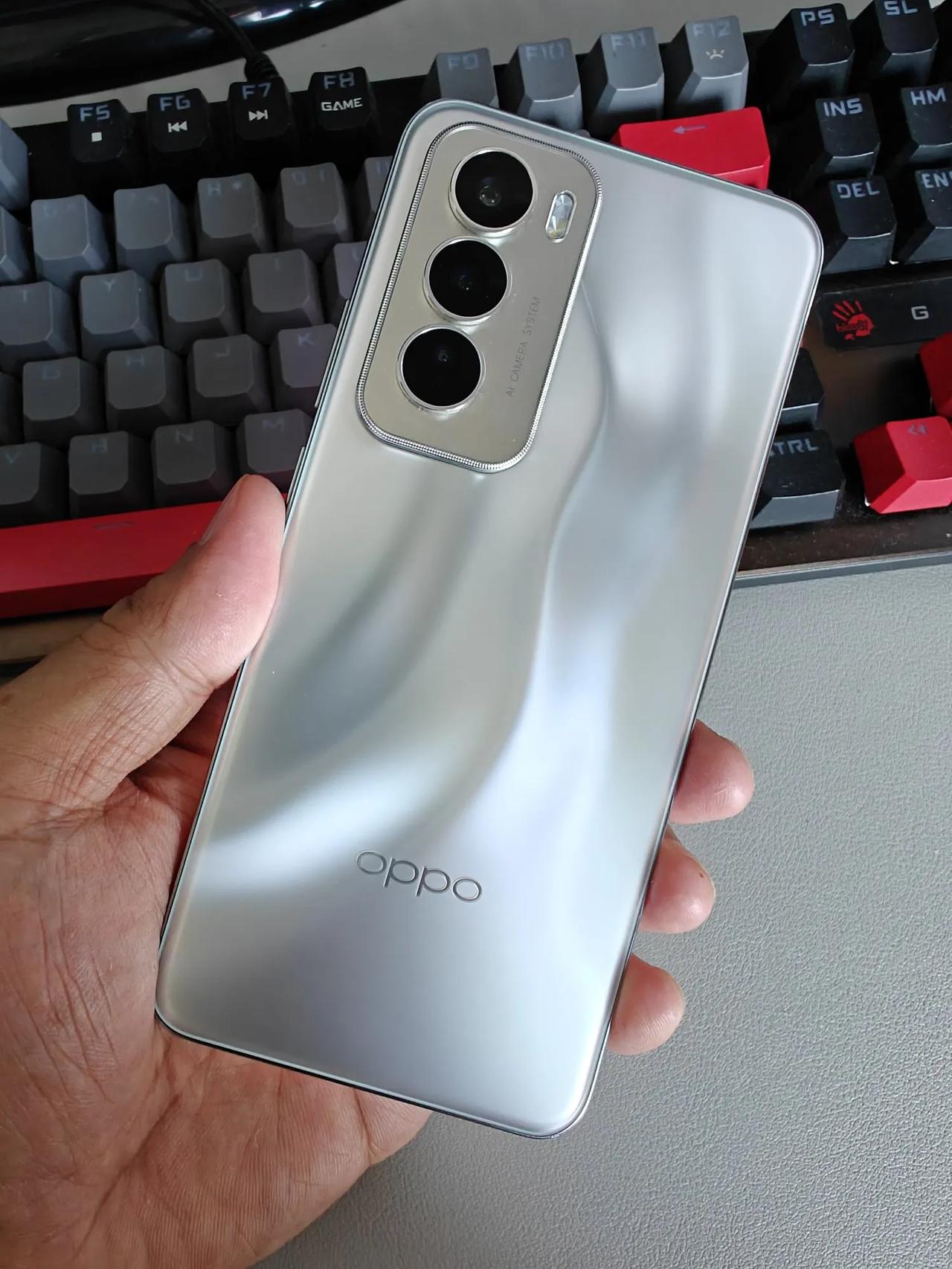 我赶紧又看了一遍我的OPPO Reno12，没错的，它的屏幕是护眼屏，它有216
