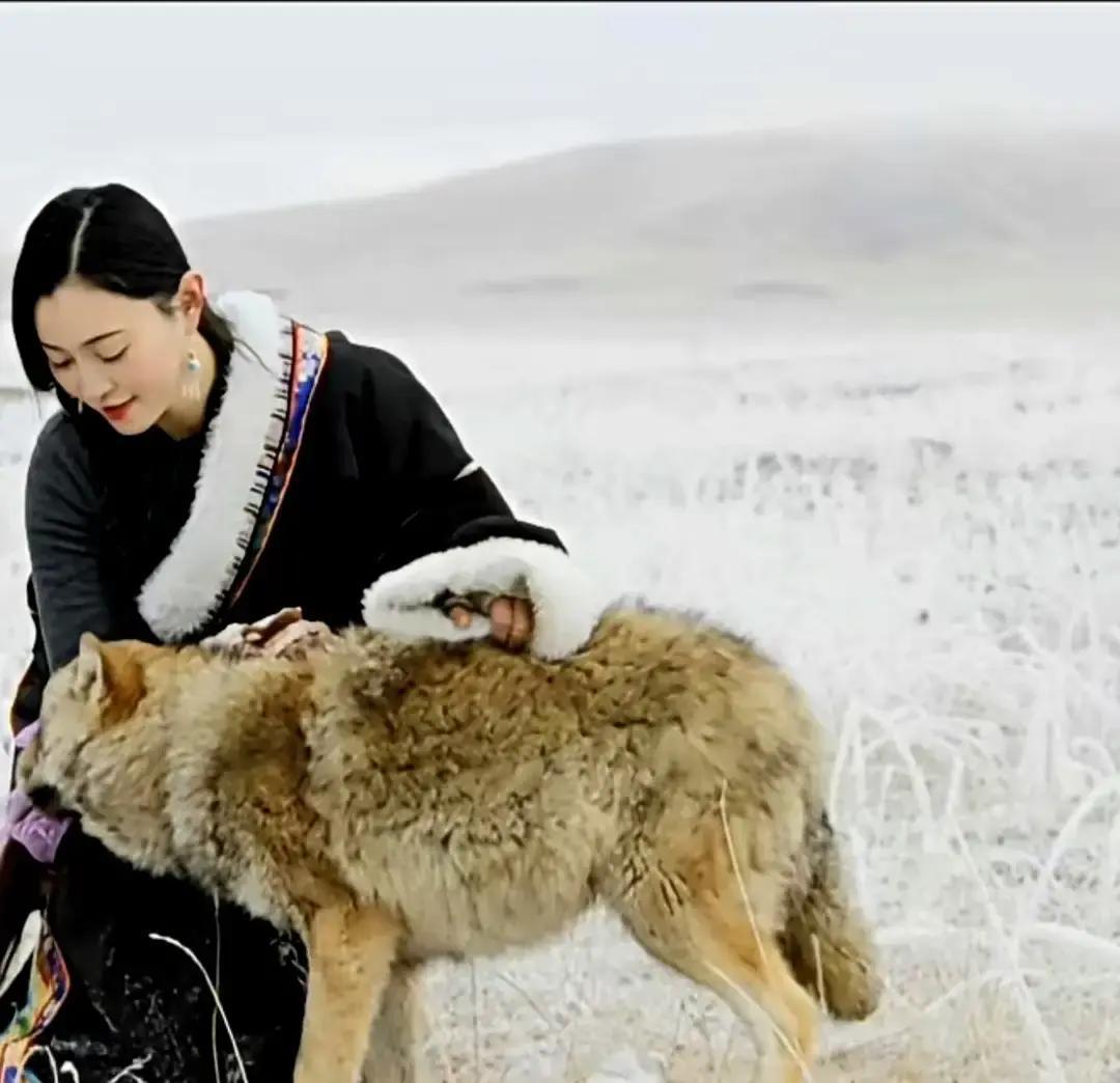 比起那些把亲人离世当流量密码，恨不得开直播带货的，李微漪的沉默，才是一种真正的高