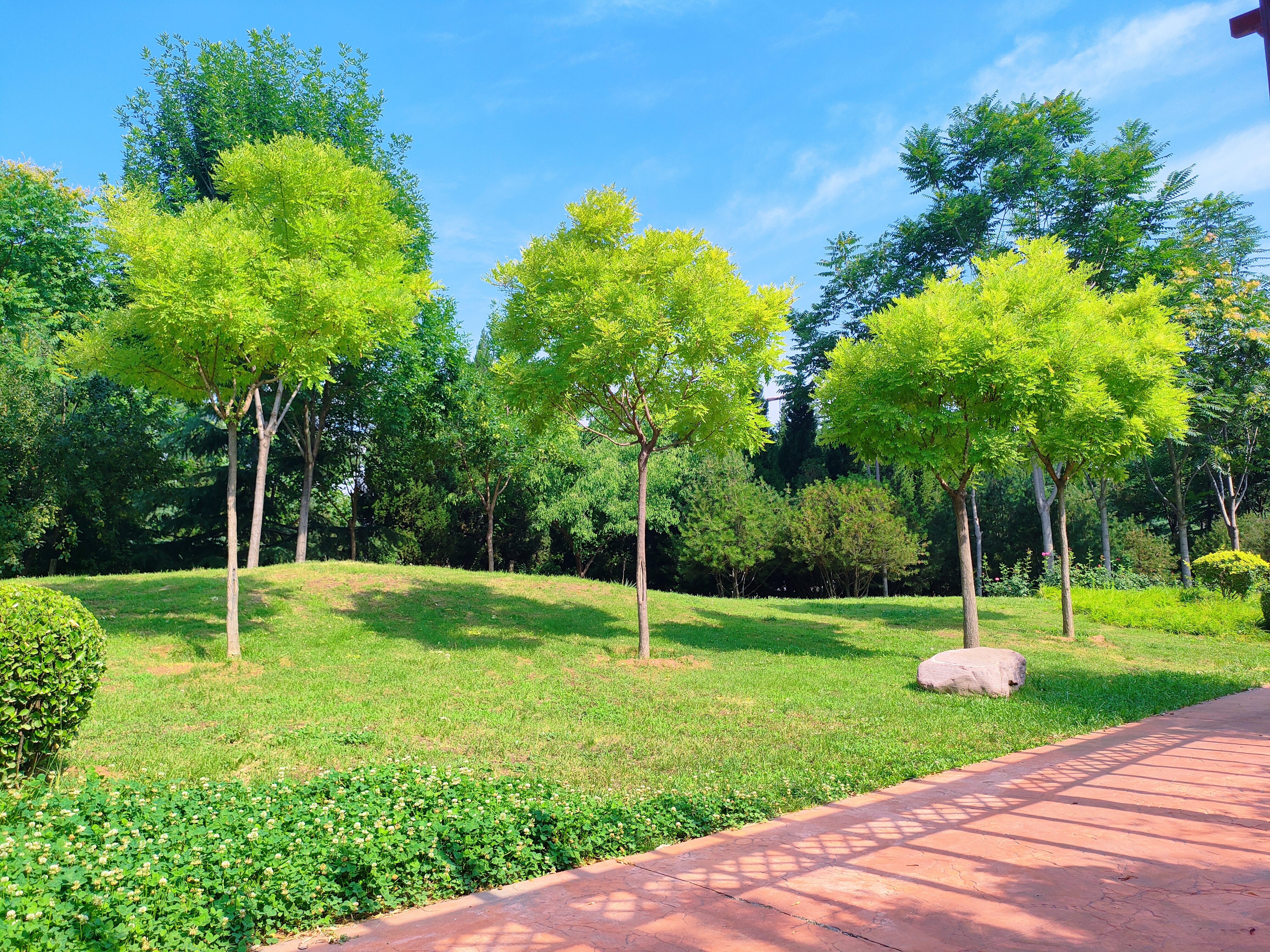 寄给仙草的明信片 揽一缕夏风，渡一世清欢