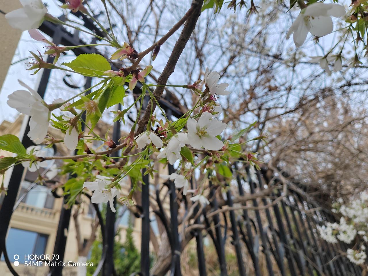 分享一张潍坊的照片吧