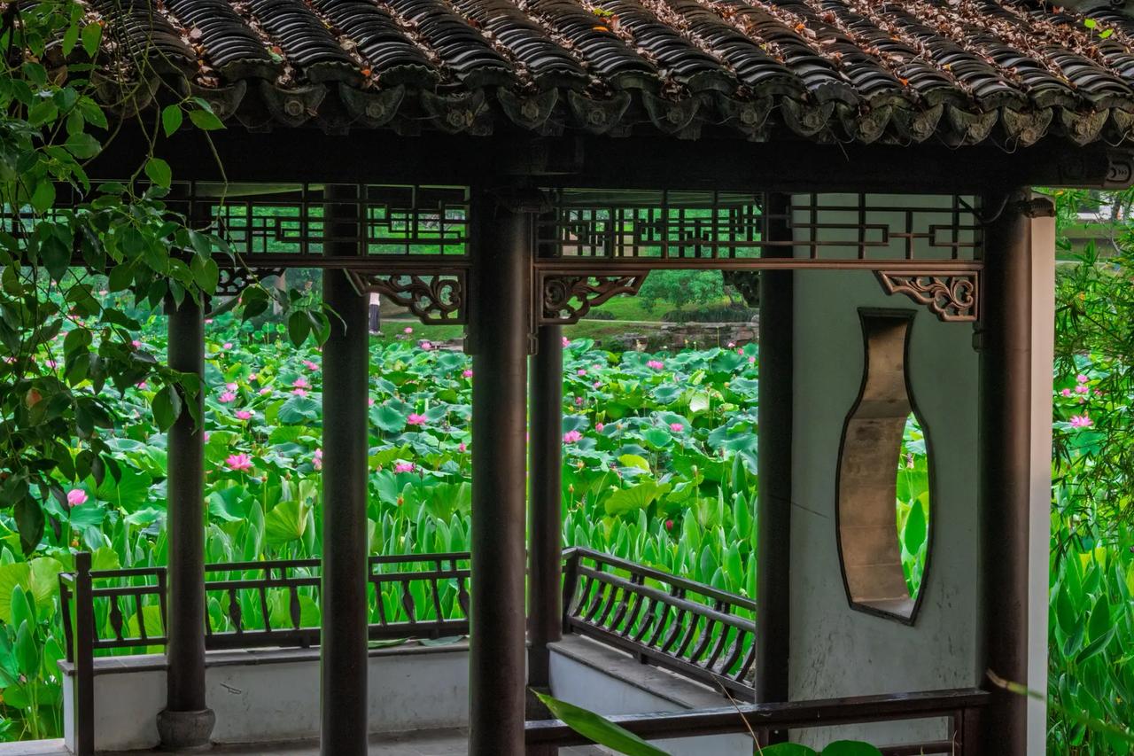 南京玄武湖。南京玄武湖