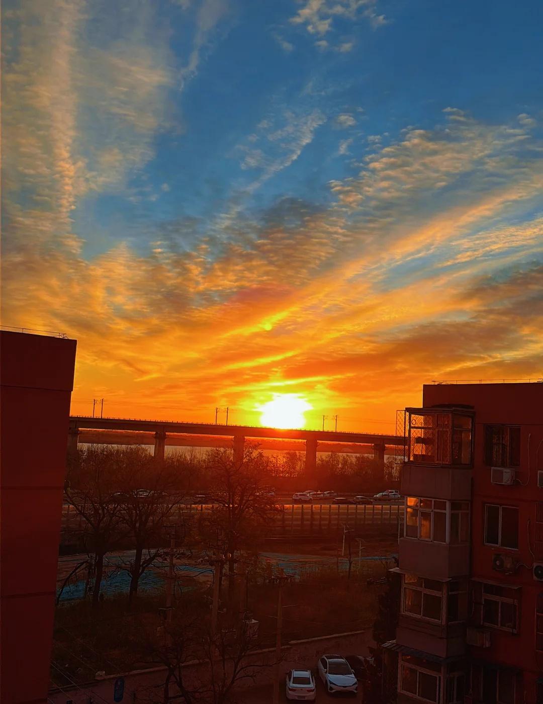 是奖励早起人的惊喜
平凡的一天都有新惊喜 美好总在不经意间