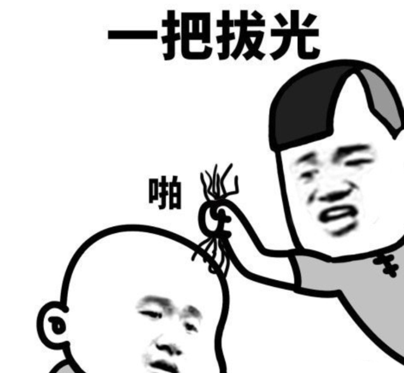 【论马毛的“N”种打开方式！】由于饲养成本高，很多马制品都卷不过猪制品。但马身上