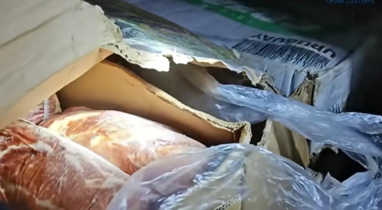 处罚了！山东荣成，一艘远洋渔船入境，海关人员现场查验时发现，船上除了申报的水产品