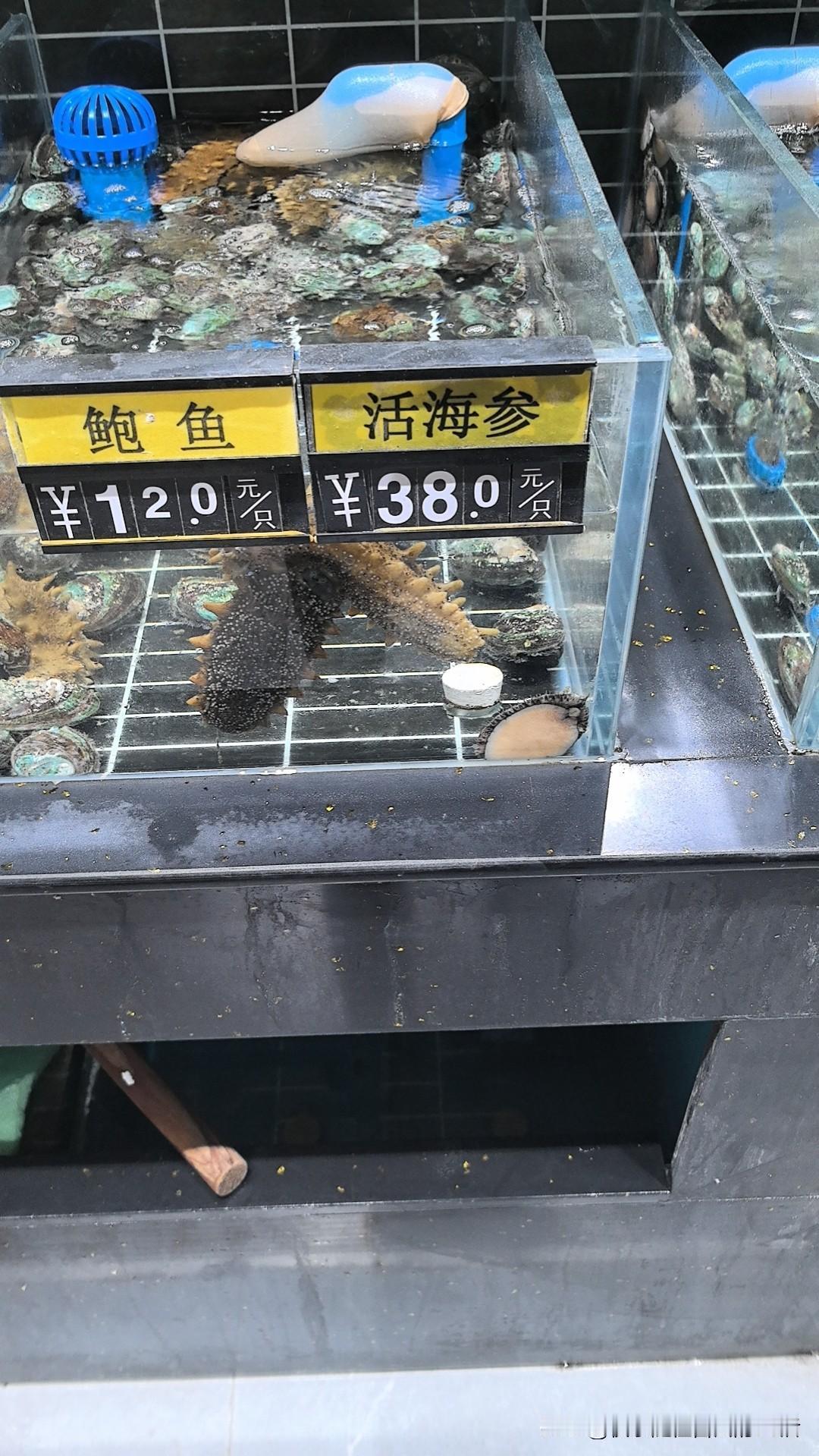 晒图笔记大赛用细水长流的心，过柴米油盐的日子，这就是最美的生活。