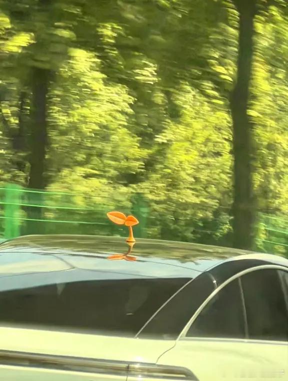 鹅鹅鹅鹅鹅鹅鹅鹅鹅鹅鹅鹅鹅鹅 ​​​