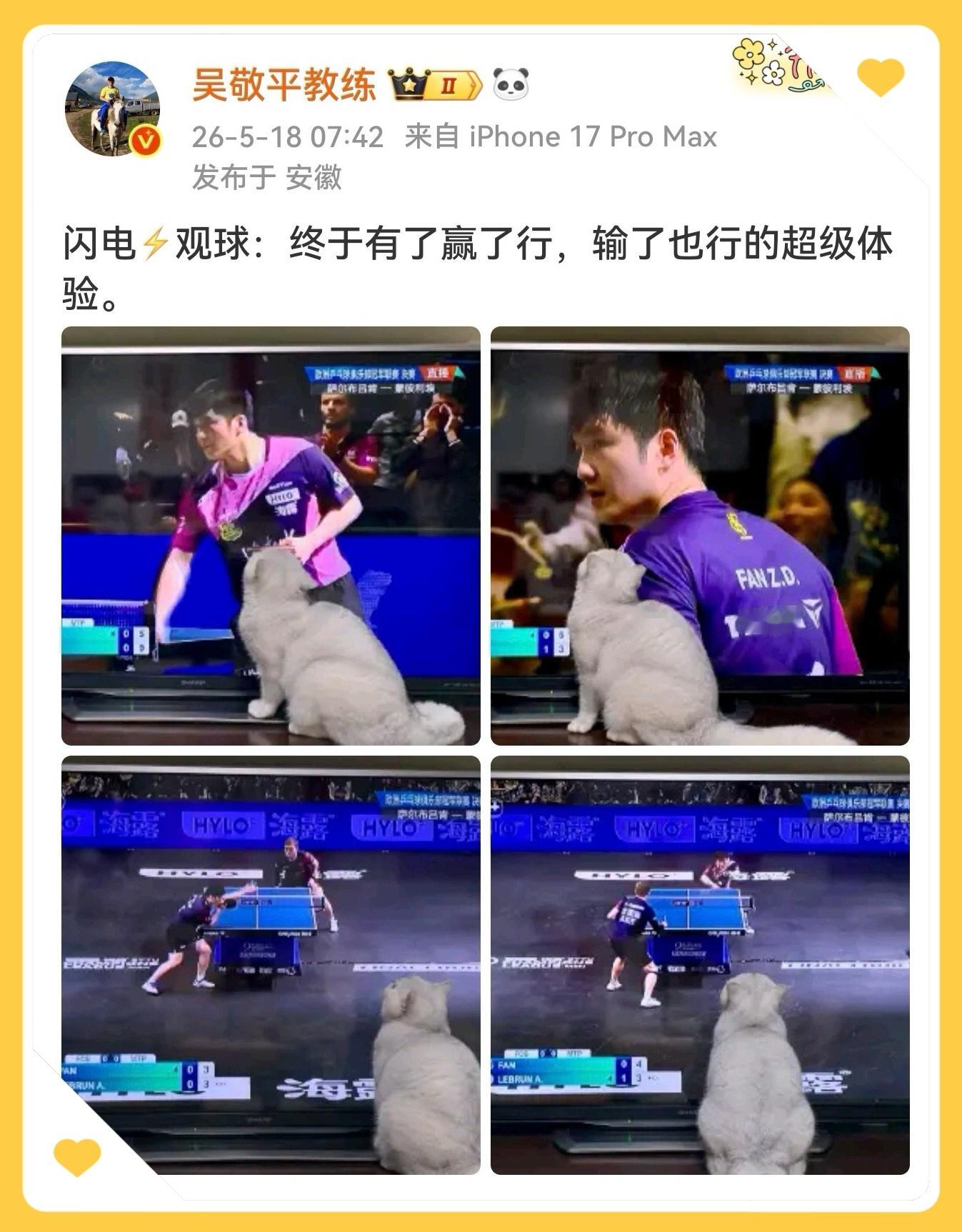 樊振东欧冠冠军 圆满之人，才真正拥有输球的自由。东哥不“在路上”，他只是秉持对自
