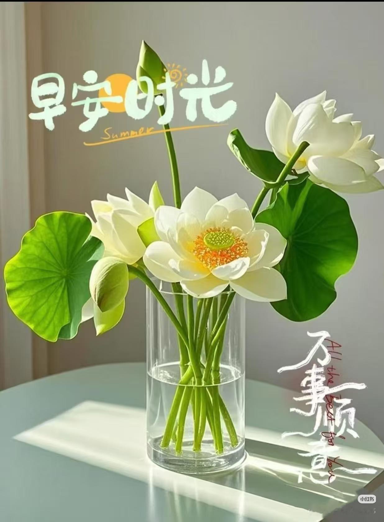 人过六十，为人处世最佳的分寸，是宁可寡言，也不饶舌。话多未必周全，闲言最易惹是非