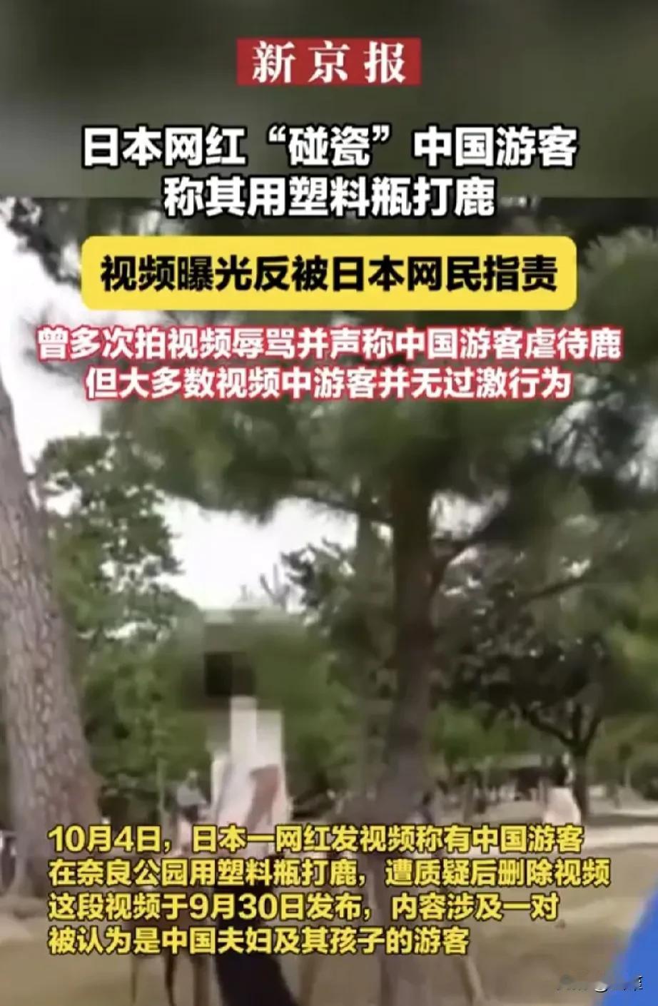 这就是某些人眼中的高素质国民，这要是换成我们的网红，敢这样对外国人，会被某些媒体