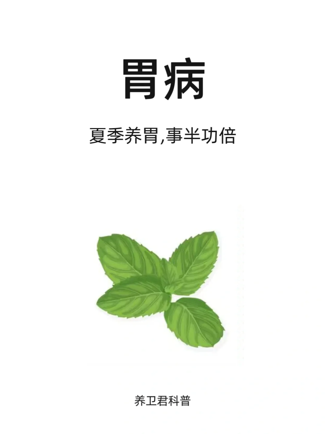 夏季养胃，事半功倍