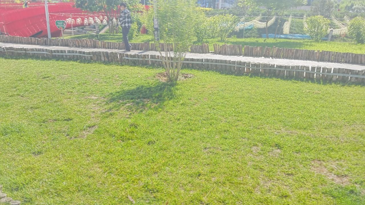阳光洒满的公园，绿草如茵，悠闲漫步，享受美好时光。🌞🌿🚶‍♂️沿着公园小径