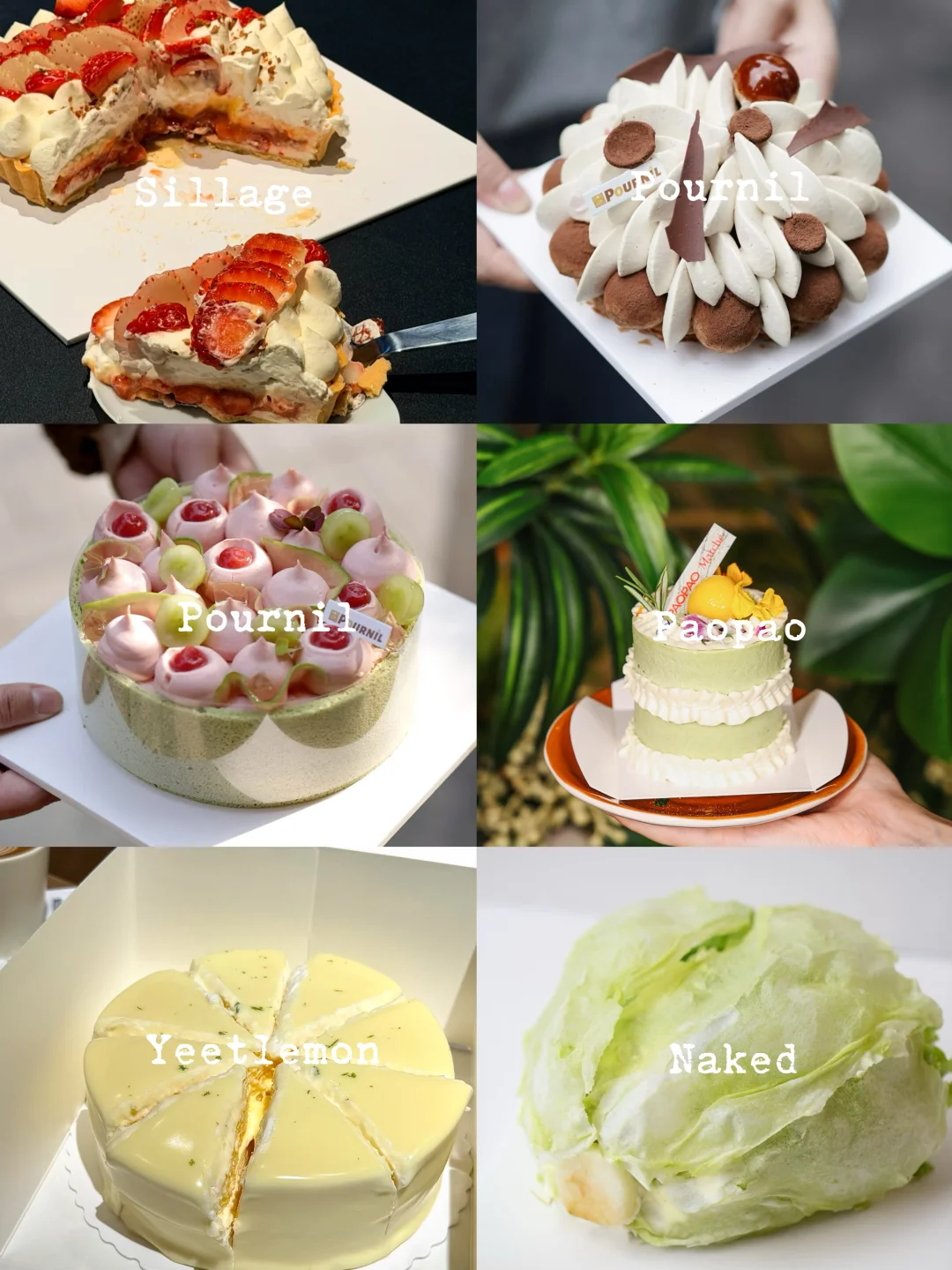 组一个上海杀糕局🍰