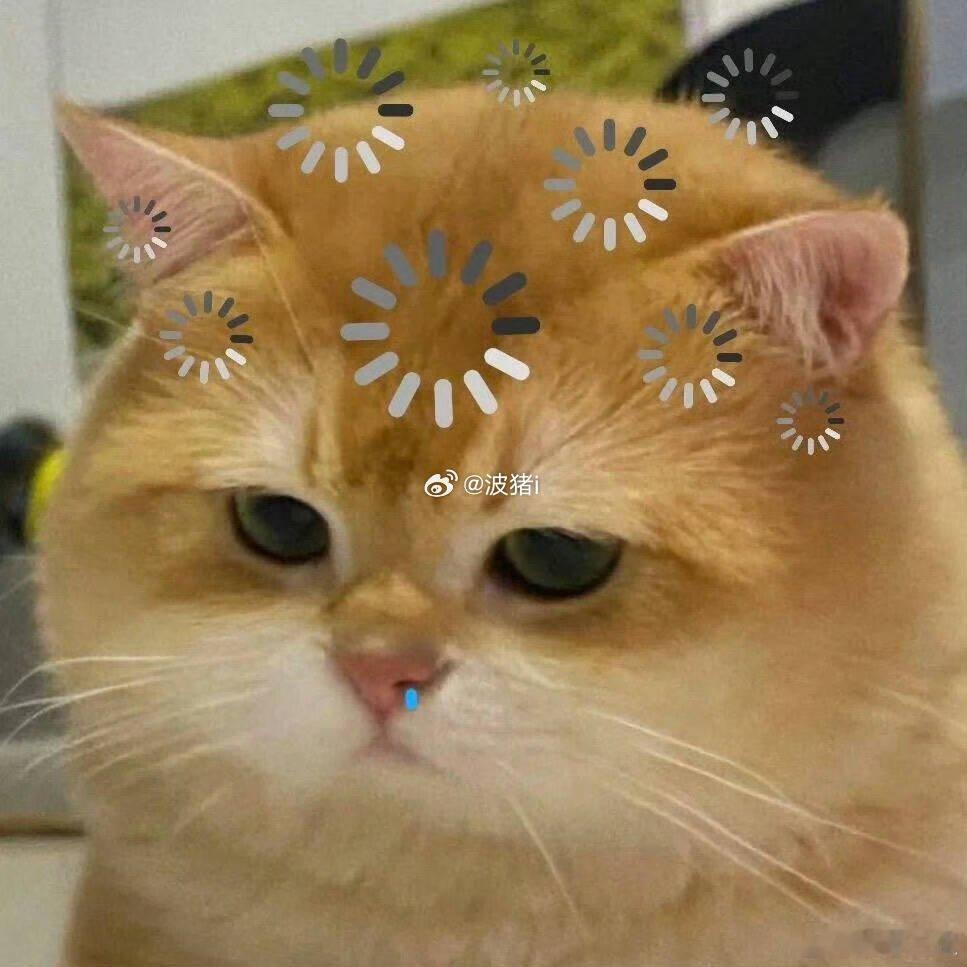 小酒窝和爸爸逛面包节面包节是不是会有好多好多好吃的面包啊 