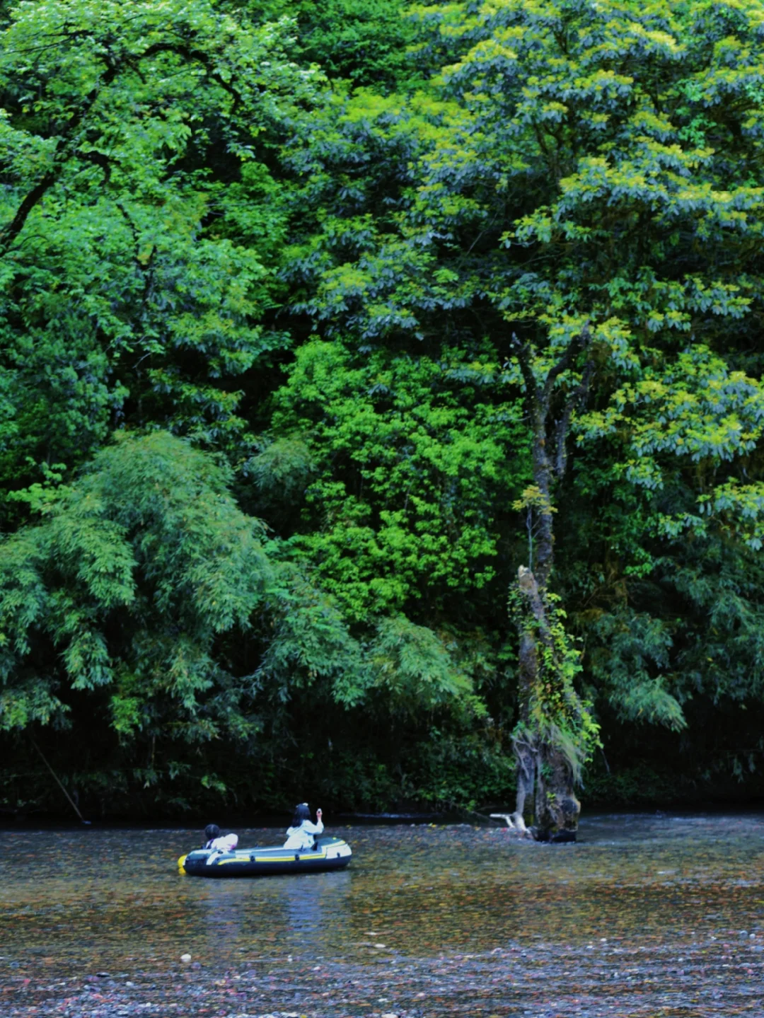 成都2.5h|徒步玩水露营，看世间最美的花