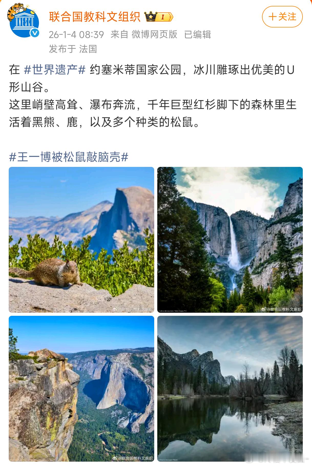 卧槽 小松鼠你完了 夜袭王一博直接惊动联合国了啊啊啊啊啊 联合国科普敲王一博的松