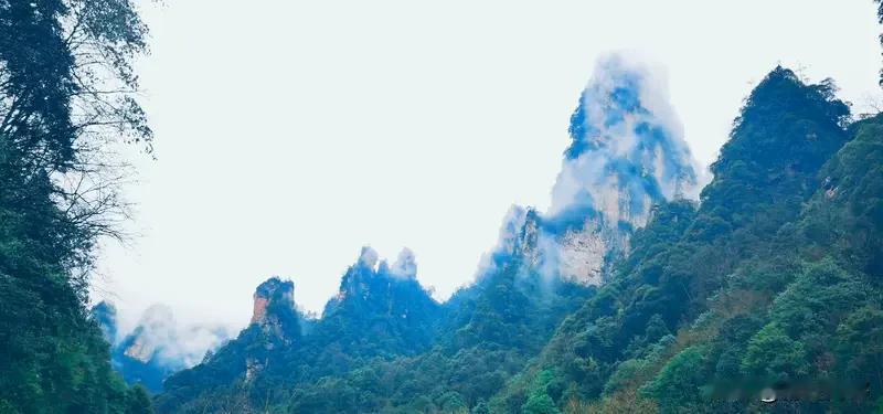 七律·游张家界
腾云驾雾九霄游，怪石奇峰脚下流。
鬼斧神工仙境在，奇崖绝壁匠心牛
