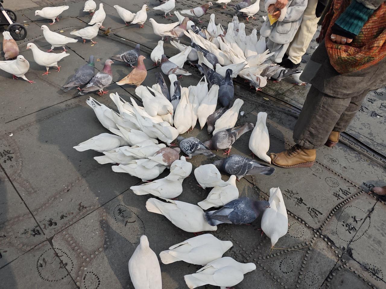 我的今日状态：😁轻松愉快
我这里的天气：☀️晴天

只有国家强大起来人民才能安