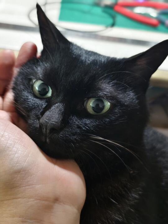 捧在手里怕化了在此刻具象化了❤️
