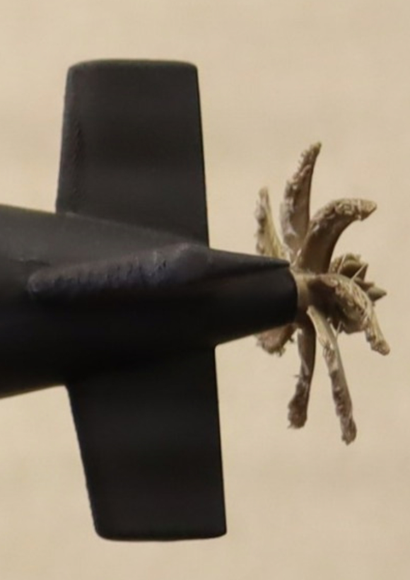 3D打印长尾鲨模型，打印质量不咋地 