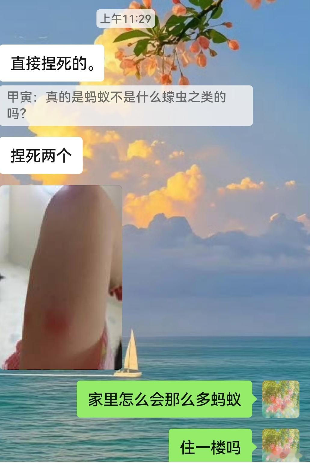 土金进气最近很多人被虫子咬啊