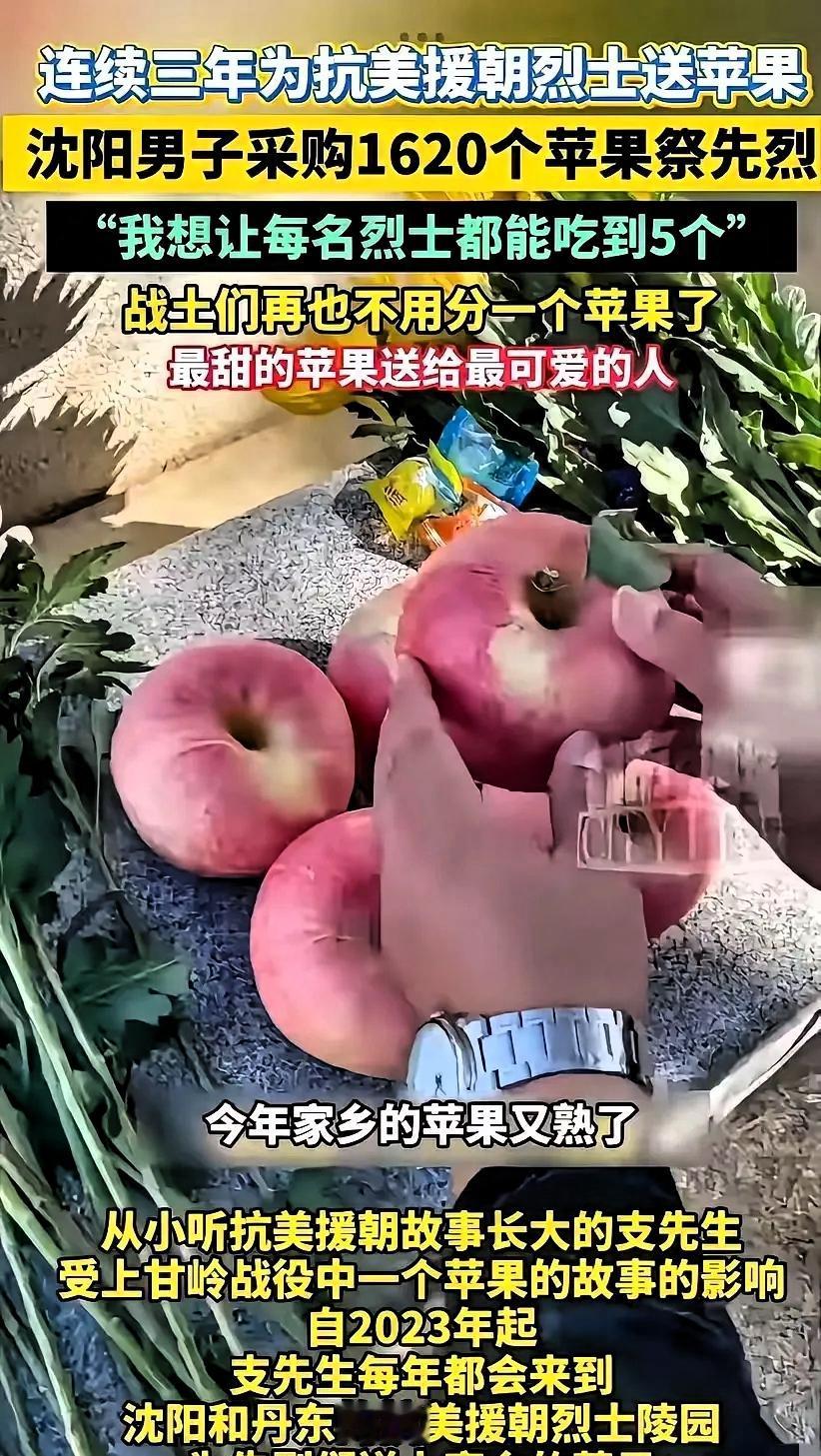 感动哭了！沈阳，47岁男子带着1650个苹果来到丹东烈士陵园，然后在每个墓碑前放