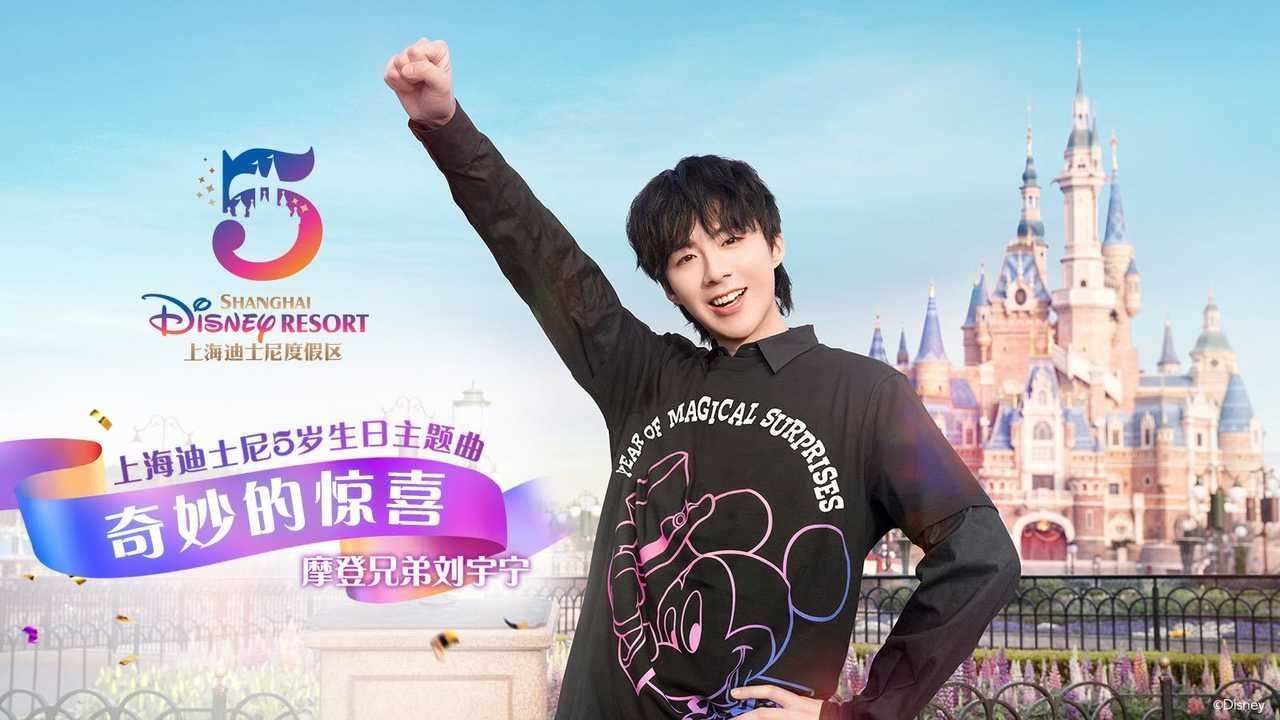 上海迪士尼五周年，十周年主题曲都是刘宇宁唱的呀，哥，你的业务领域真的广，给别人留