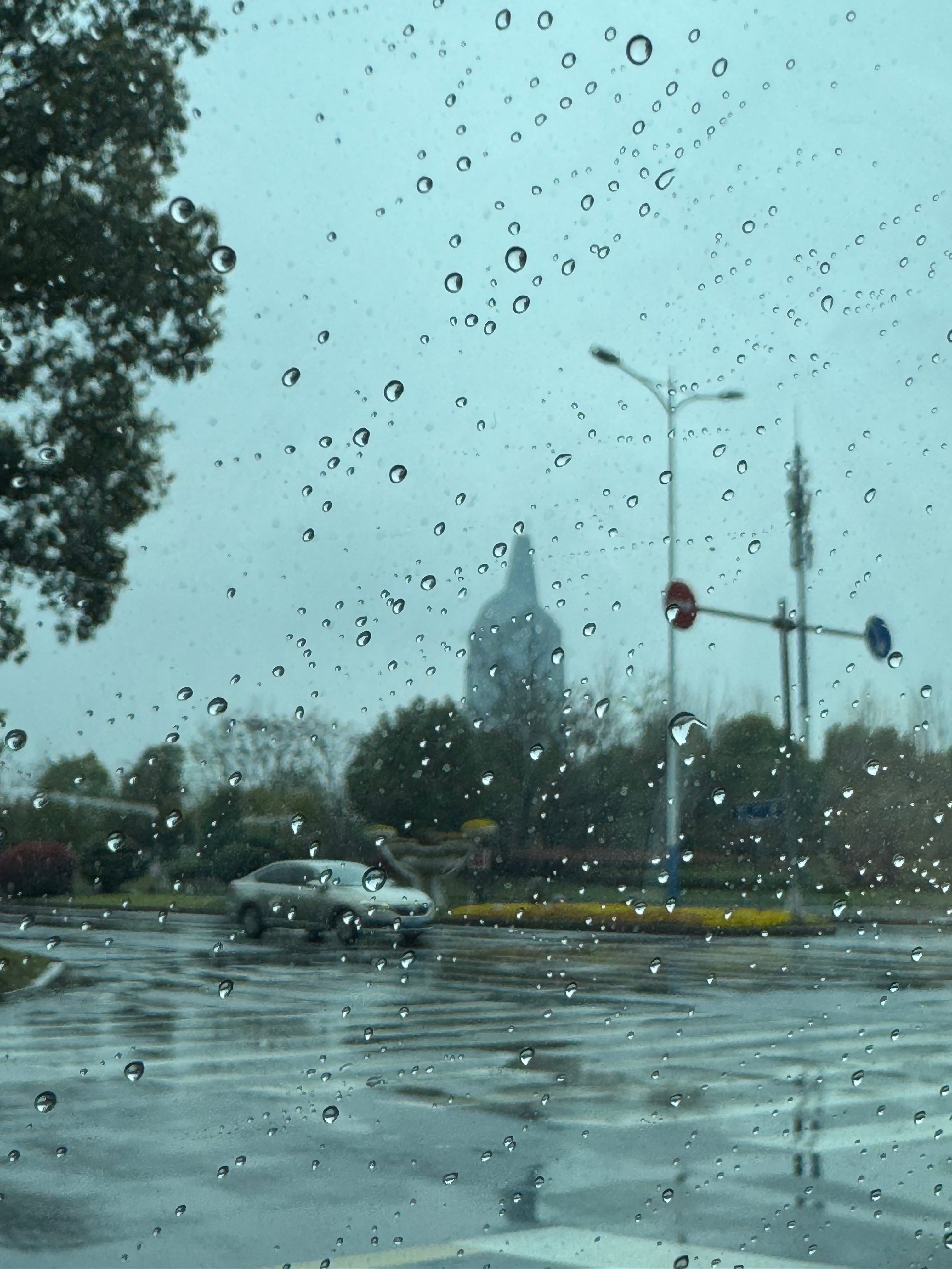 早☀️已锻炼完回家昨晚看到群里接龙花生气囊燃脂课心想这花生气囊是啥呀，没见过于是
