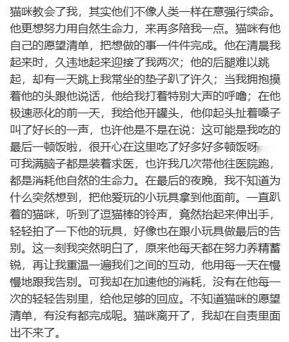 #原来小猫咪有他们自己的生死观# 原来小猫咪有他们自己的生死观#镜头下的笑容# 